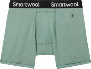 Smartwool Men's Merino Boxer Brief Boxed Sage L Thermal Underwear