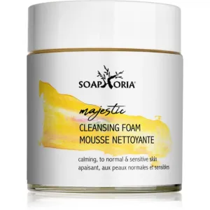 Soaphoria Care moisturising and soothing cleansing foam for sensitive skin 100 ml #236177
