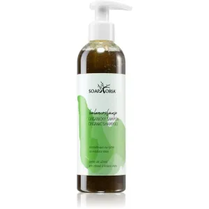 Soaphoria Hair Care Liquid Organic Shampoo for Oily Hair 250 ml #222869