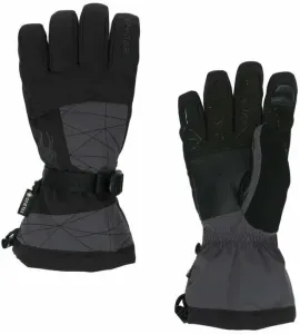 Spyder Overweb Gore-Tex Ebony L Ski Gloves