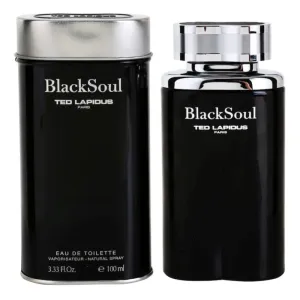 Ted Lapidus Black Soul eau de toilette for men 100 ml #216440