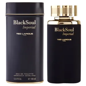 Ted Lapidus Black Soul Imperial eau de toilette for men 100 ml #217896