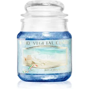 THD Vegetal Acqua Viva scented candle 100 g