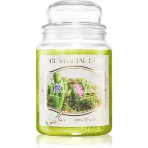 THD Vegetal Fiore E Muschio scented candle 600 g