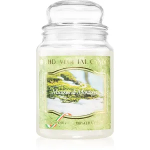 THD Vegetal Muschio Di Montagna scented candle 600 g