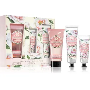 The Somerset Toiletry Co. Bath & Body Collection gift set Peony Plum(for the body)