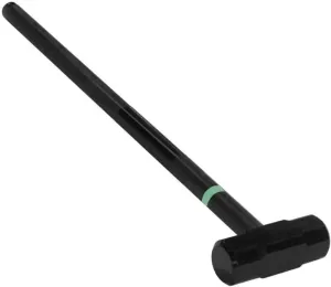 Thorn FIT Sledge Hammer Black 8 kg