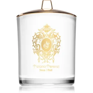 Tiziana Terenzi Arethusa scented candle with wooden wick 500 g