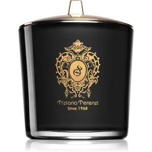 Tiziana Terenzi Ebony & Teck scented candle with wooden wick 500 g