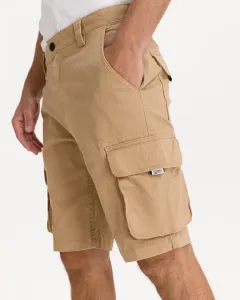 Tommy Jeans Cargo Short pants Brown