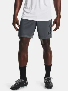 Under Armour Challenger Knit Short pants Grey #41830