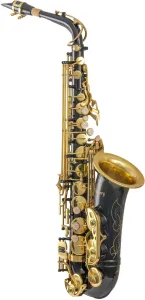 Victory TCCSA-01C Alto saxophone #1216056