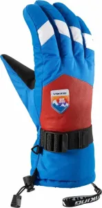 Viking Brother Louis Gloves Multicolour/Orange 10 Ski Gloves