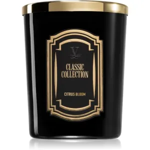 Vila Hermanos Classic Collection Citrus Blossom scented candle 75 g