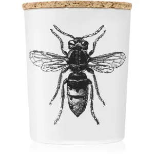 Vila Hermanos Insect Calabrone scented candle 75 g