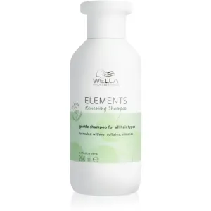 Wella Professionals Elements Renewing restoring shampoo for all hair types 250 ml