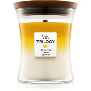 Woodwick Trilogy Fruits of Summer scented candle with wooden wick 275 g