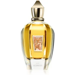 Xerjoff Richwood perfume unisex 100 ml
