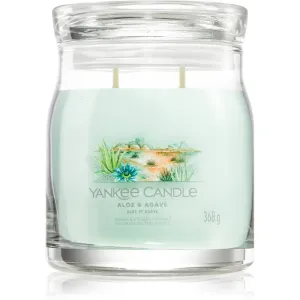 Yankee Candle Aloe & Agave scented candle 368 g