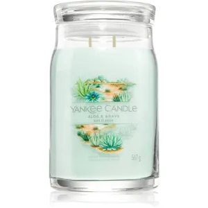 Yankee Candle Aloe & Agave scented candle 567 g