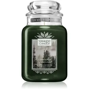 Yankee Candle Evergreen Mist scented candle classic mini 623 g
