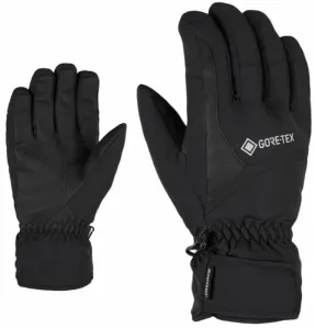 Ziener Garwen GTX Black 10 Ski Gloves