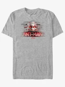 ZOOT.Fan Marvel Ant-Man and The Wasp T-shirt Grey