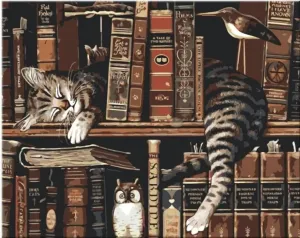 Zuty Painting by Numbers Cat In The Library