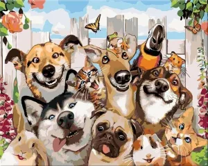 Zuty Painting by Numbers Cheerful Animals