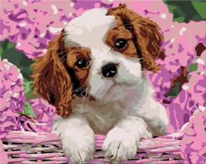 Zuty Painting by Numbers Puppy And Hydrangea #987630